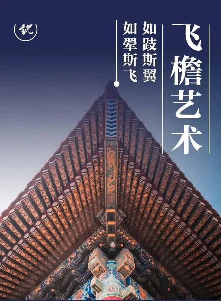 最新飞檐报告揭秘，技术现状与未来趋势展望