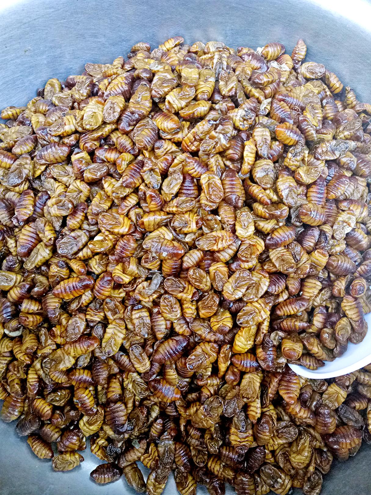 达州最新鱼情揭秘，探索富饶的水下世界奇迹