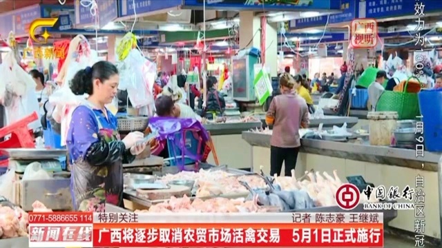 最新活禽市场深度论述与观察