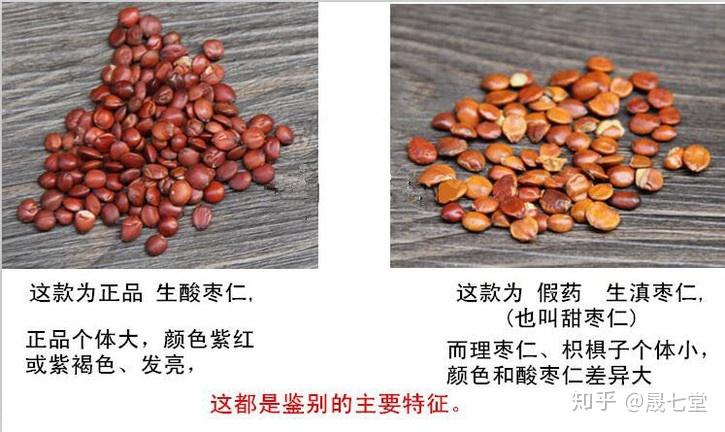 酸枣仁最新观点论述解析