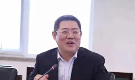张福轩最新探险之旅，探寻自然魔法与内心宁静的旅程