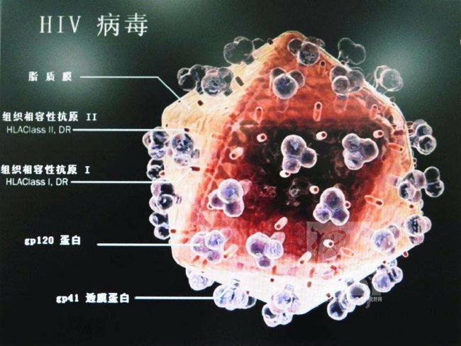 北海最新病毒，背景、事件、影响与时代地位全面解析