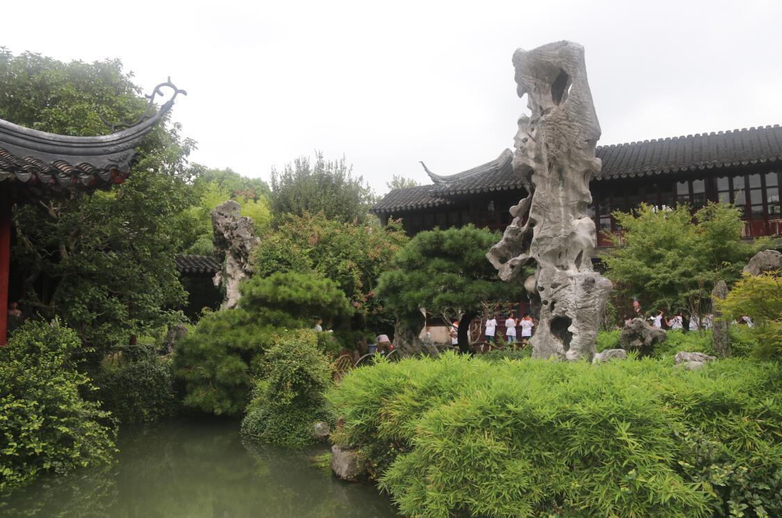 东方园林今日美景，绿叶轻舞，花香四溢的日常故事